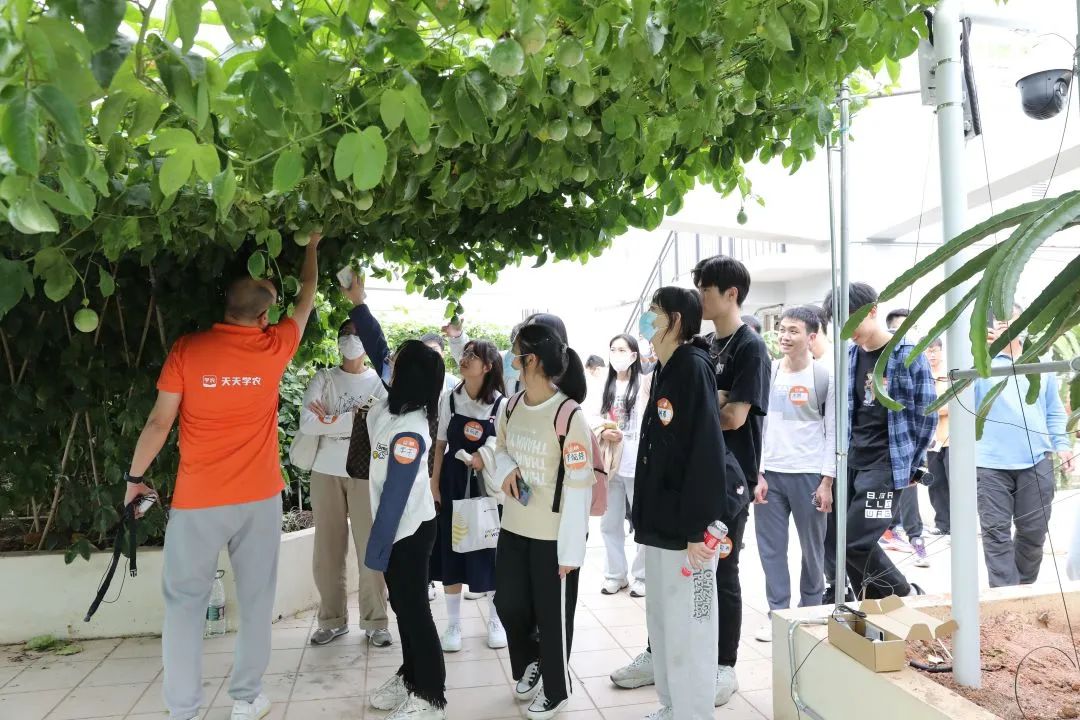 天天学农与深职院深化校企合作，三农网红教学生直播带货